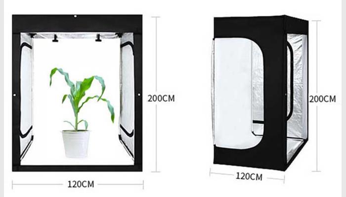 PhenoGA植物表型分析測(cè)量?jī)x系統(tǒng),又稱(chēng)植物表型平臺(tái), 植物表型分析系統(tǒng),植物表型成像分析系統(tǒng)。
基因型、表型和環(huán)境是遺傳學(xué)研究的鐵三角。表型（性狀）是基因型和環(huán)境共同作用結(jié)果，而基因型與表型之間有著多重關(guān)系。研究者用測(cè)序和基因組重測(cè)序來(lái)評(píng)估等位基因差異定位數(shù)量性狀等已變得很普遍，但其需大量性狀數(shù)據(jù)來(lái)佐證。然而這類(lèi)分析測(cè)量的結(jié)果受人員、工具和環(huán)境等的干擾很大，還會(huì)損傷到植物。故迫切需要高效、準(zhǔn)確的萬(wàn)深PhenoGA植物表型分析測(cè)量?jī)x來(lái)做可視化的精確數(shù)據(jù)分析和表型測(cè)試，如測(cè)試對(duì)壓力和環(huán)境因素的表型反應(yīng)、生態(tài)毒理學(xué)測(cè)試或萌發(fā)測(cè)定、生長(zhǎng)研究等。